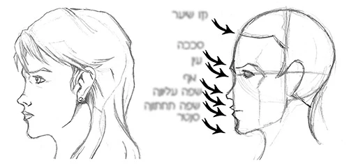 תמונת מוצר 3