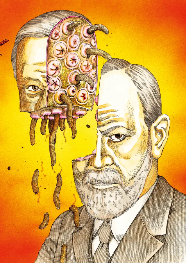 תמונת מוצר 8