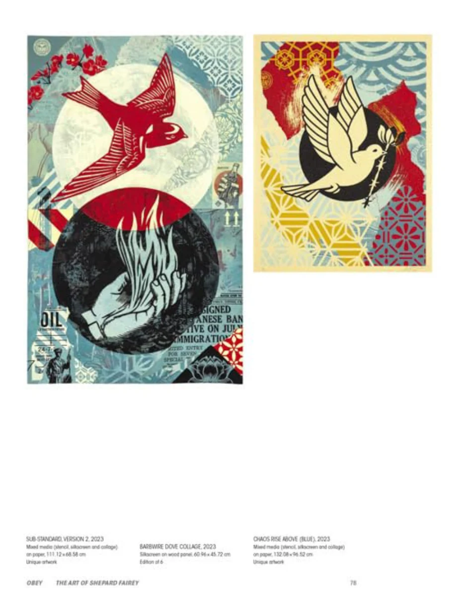 תמונת מוצר 6